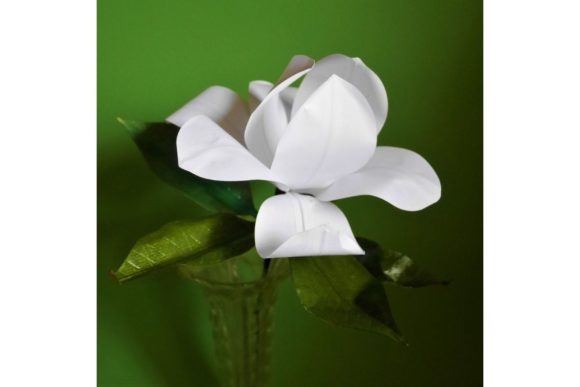 Southern Magnolia 3D SVG Paper Flowers